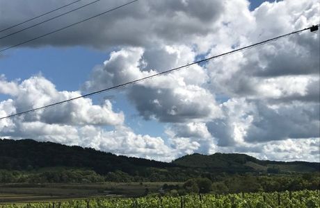 Hosui Winery