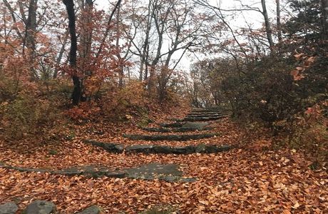 Onuma Park Walking Path