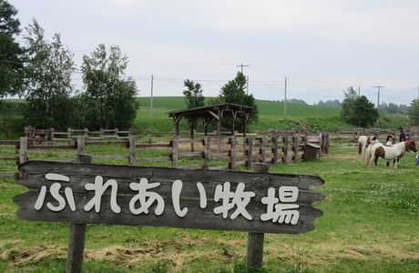 Fureai Farm