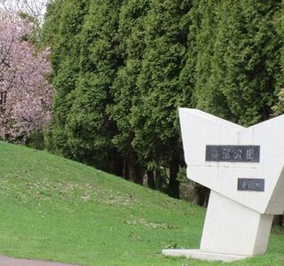 Tsurunuma Park