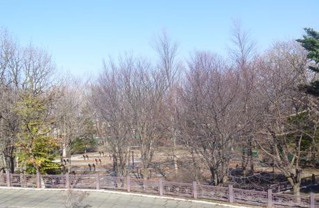 Eniwa Furusato Park