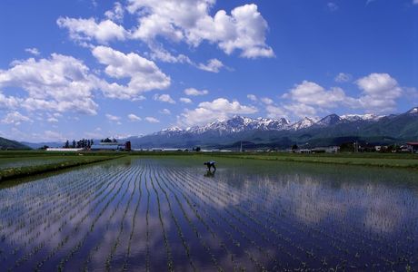 Furano Golf Course