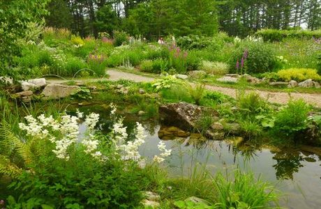 Garden of Wind
