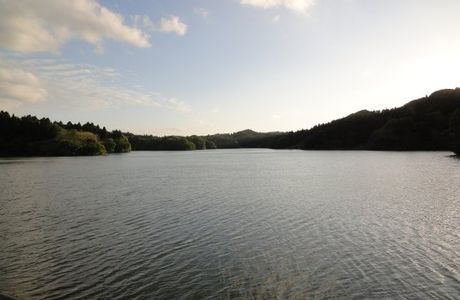 Pond Ojaga
