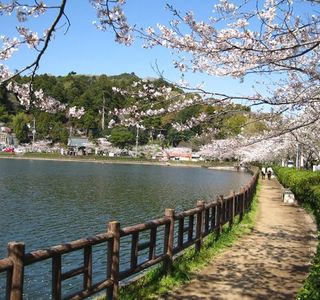 Lake Hakkaku