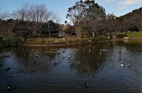 Sodegaura Park