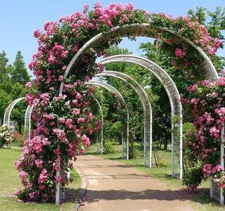 Hogashi Matsudo Yui no Hana Park