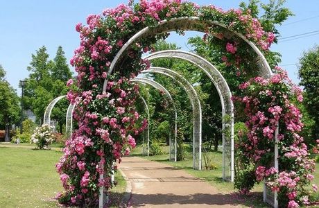 Hogashi Matsudo Yui no Hana Park