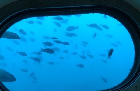 Katsuura Undersea Park