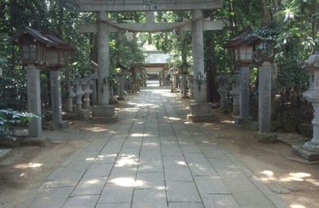 Nagareyama 1-Go Park