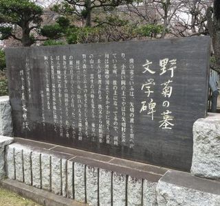 Nogiku No Haka Bungaku Hi