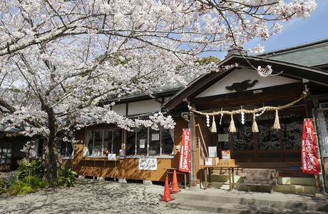 Mano Temple