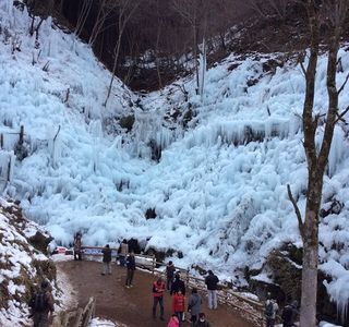 Michi-no-Eki Kaju Park Ashigakubo
