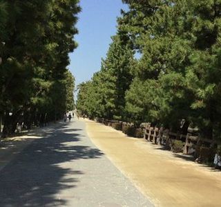 Soka Matsubara