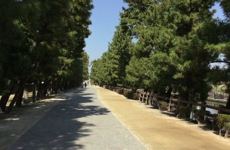Soka Matsubara