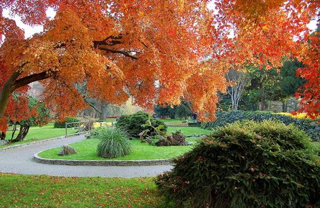 Osen Park
