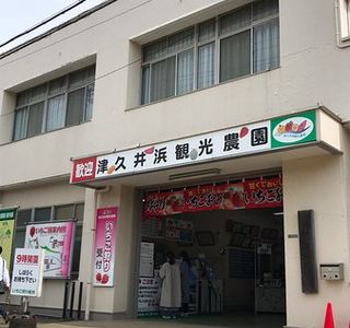 Tsukuihama Tourist Farm