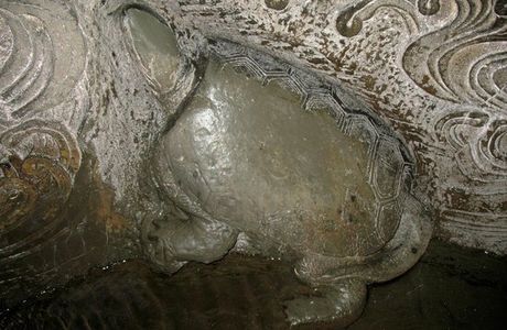 Taya Caves