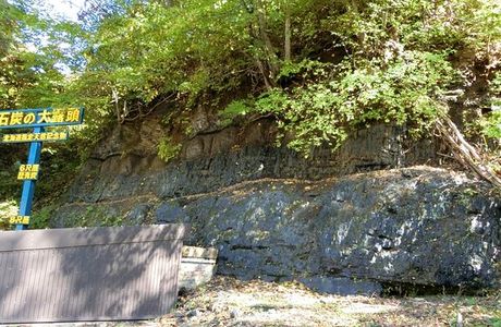 Coal Outcrop
