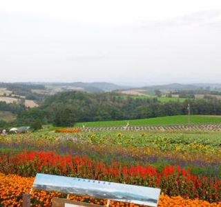 Miyamatoge Art Park