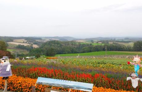 Miyamatoge Art Park