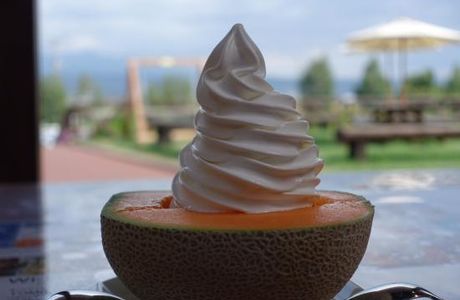 Tomita Melon House