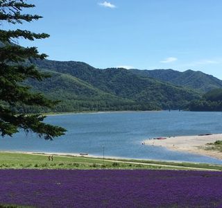 Lake Kanayama Forest Park