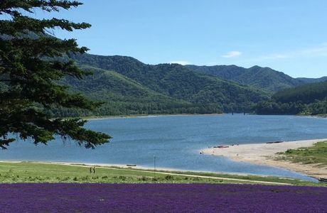 Lake Kanayama Forest Park