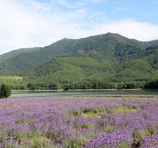 Lake Kanayama