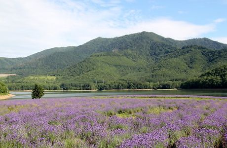 Lake Kanayama