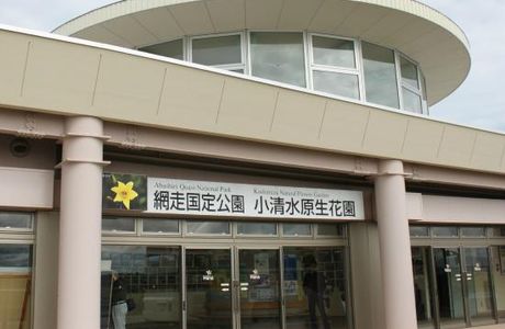 Koshimizu Primeval Garden Information Center HANA