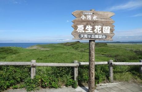Koshimizu Primeval Garden
