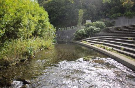 Pereke River Shore Park