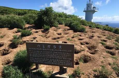 Teuri Island
