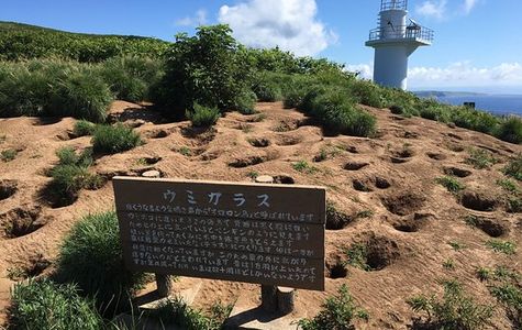 Teuri Island 1