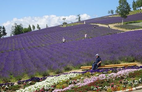 Saiko no sato Sasaki Farm
