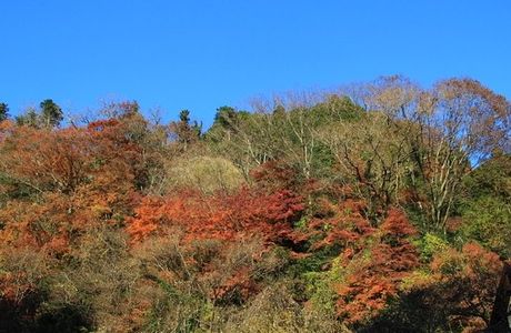 Yoro Valley