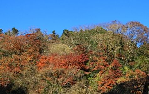 Yoro Valley 1