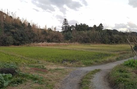 Brown's Field