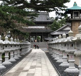 Tanjoji