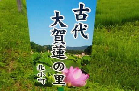 Oga Hasu no Sato