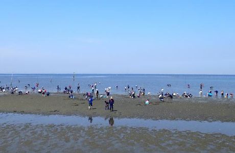 Futtsu Beach