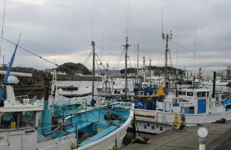 Tokawa Fishing Port