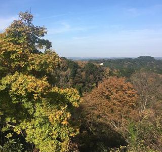 Daifukuzan Observation Deck