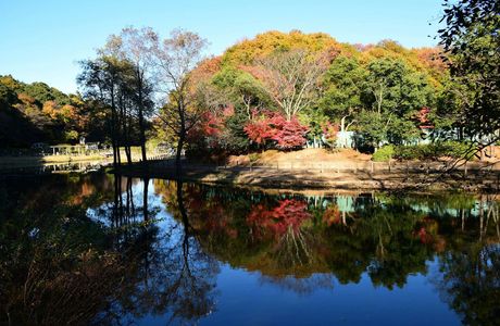 Omachi Park