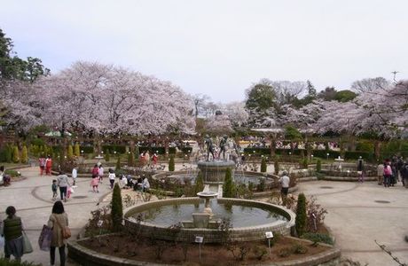 Satomi Park