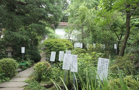 Manyo Botanical Garden