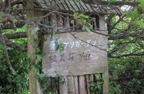 Tsurumai Sakuragaoka