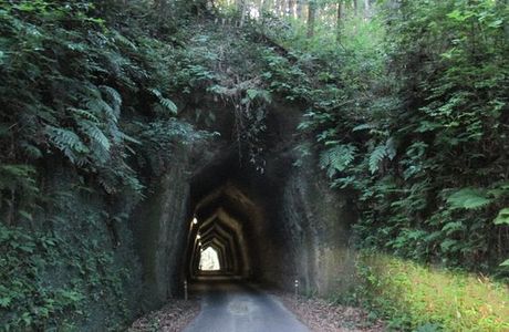 Kakinokidai Tunnel