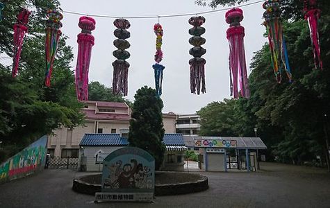Ichikawa City Zoo 1